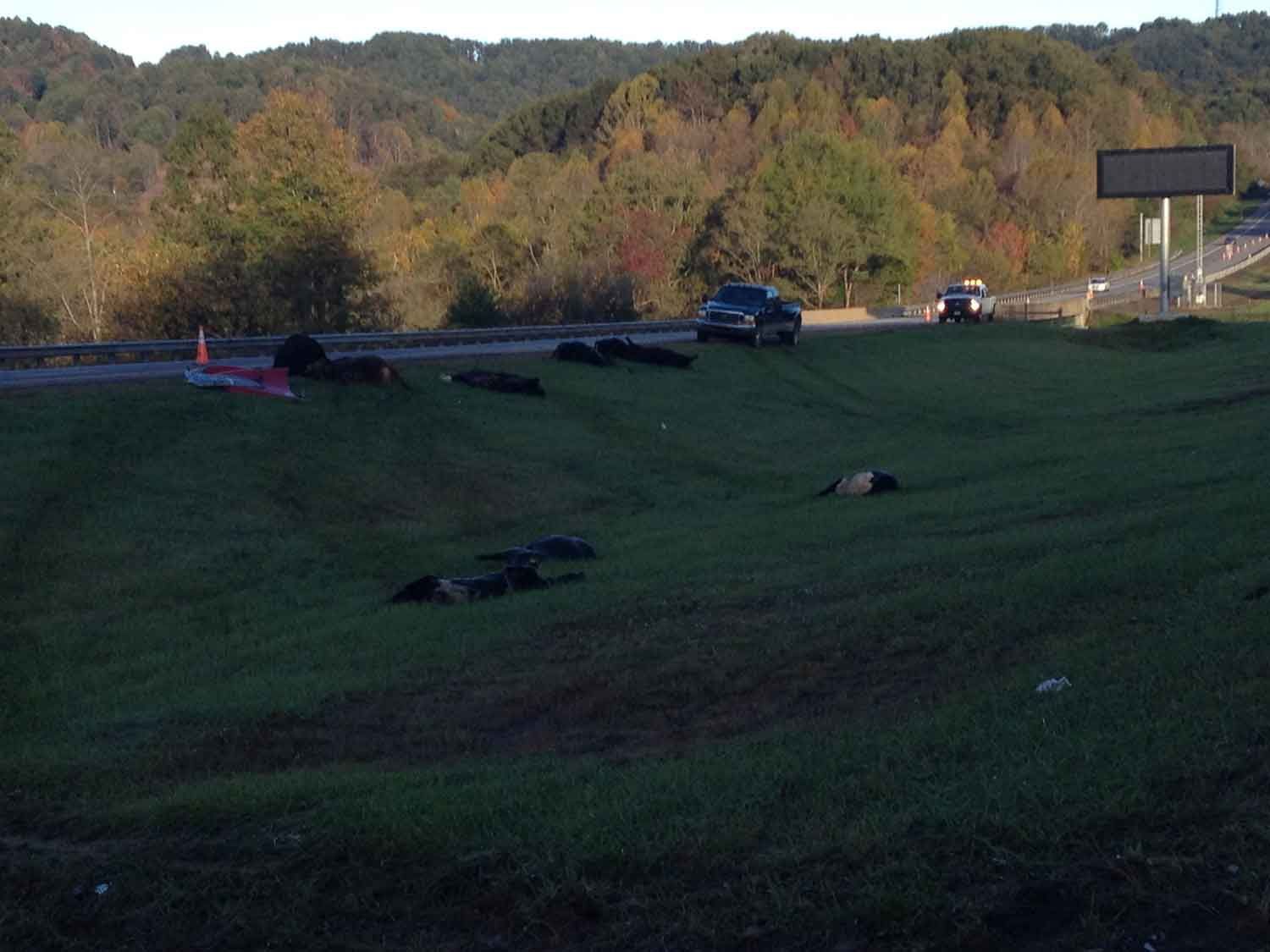 Crews clean up the site along I-64 in Greenbrier County where several ... Crews clean up the site along I-64 in Greenbrier County where several ...